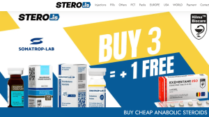 Avis TEST Boutique STERO.is